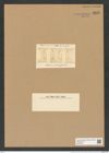 Melosira nobilis Grev. (de-Toni-Nr.: Genus 213, Species 5313) Zeichnungen Sammlung Grunow Nr. 9216 (NHMW-BOT-W0379001)